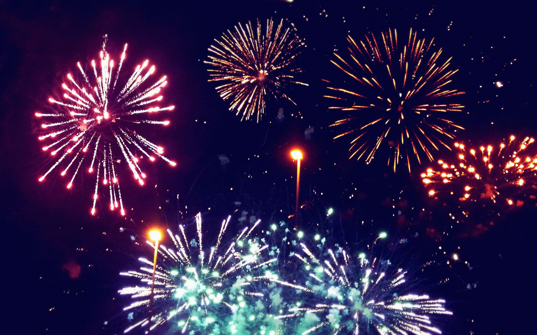Tips On Keeping Pets Safe During Fireworks