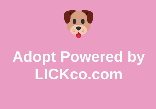 How Can You Use Our Adoption Platform? (Easy To Use)