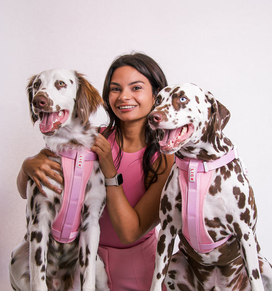 5 Tips To Make Your Dog Famous on TikTok and Instagram