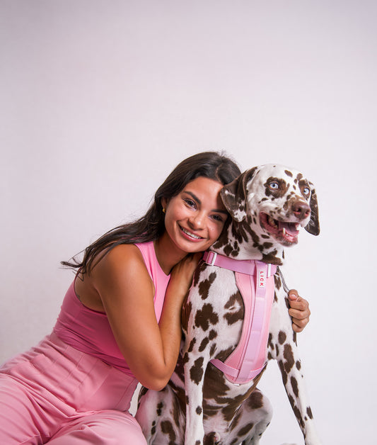 The Origin of "Satos" and their importance in Puerto Rico (Must Read)