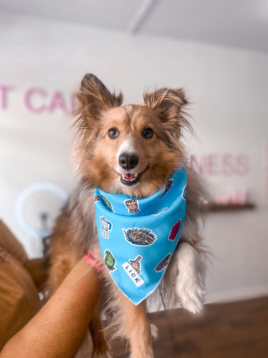 Isla Del Encanto - Inspiración Detrás de Nuestra Bandana (Puerto Rico)