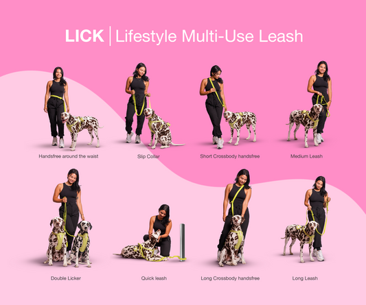 Perks of Getting Your Dog a Handsfree Leash - LICK