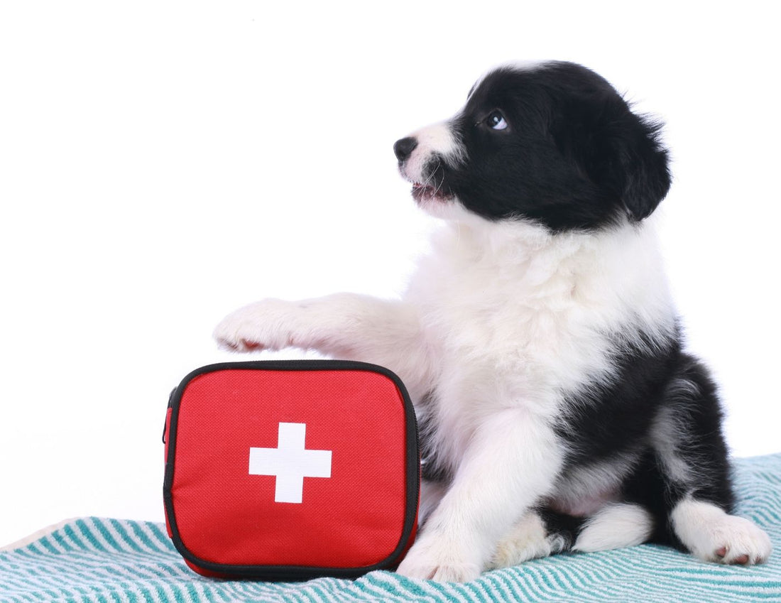 How To Prepare In Case Of An Emergency (Earthquake, Hurricane, etc.)