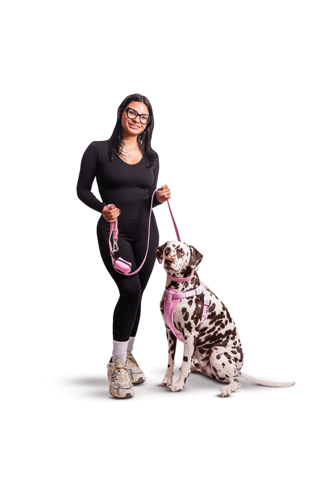 How To Travel With Your Service Dog? - LICK