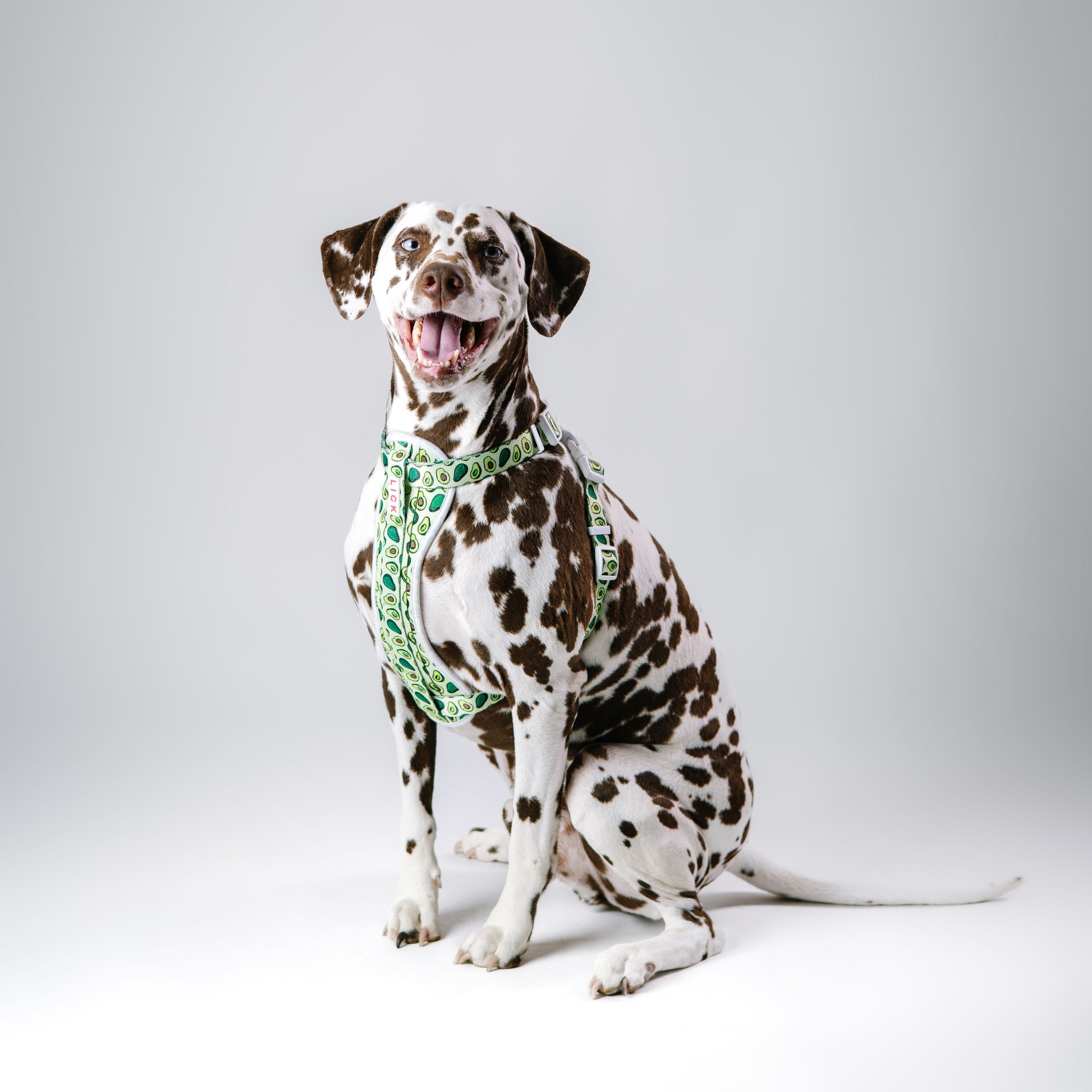 AVOCADO HARNESS - LICKco