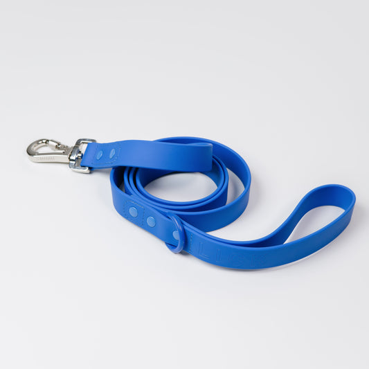 AZURE LIFESTYLE LEASH