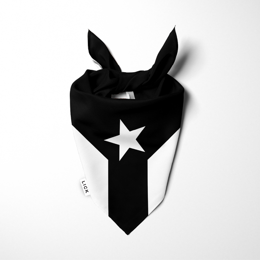 PUERTO RICO : RESISTENCIA - LICKco