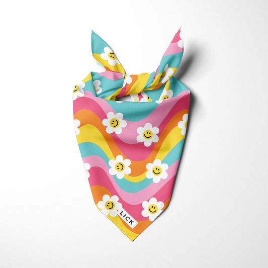 RAINBOW FLOWERS