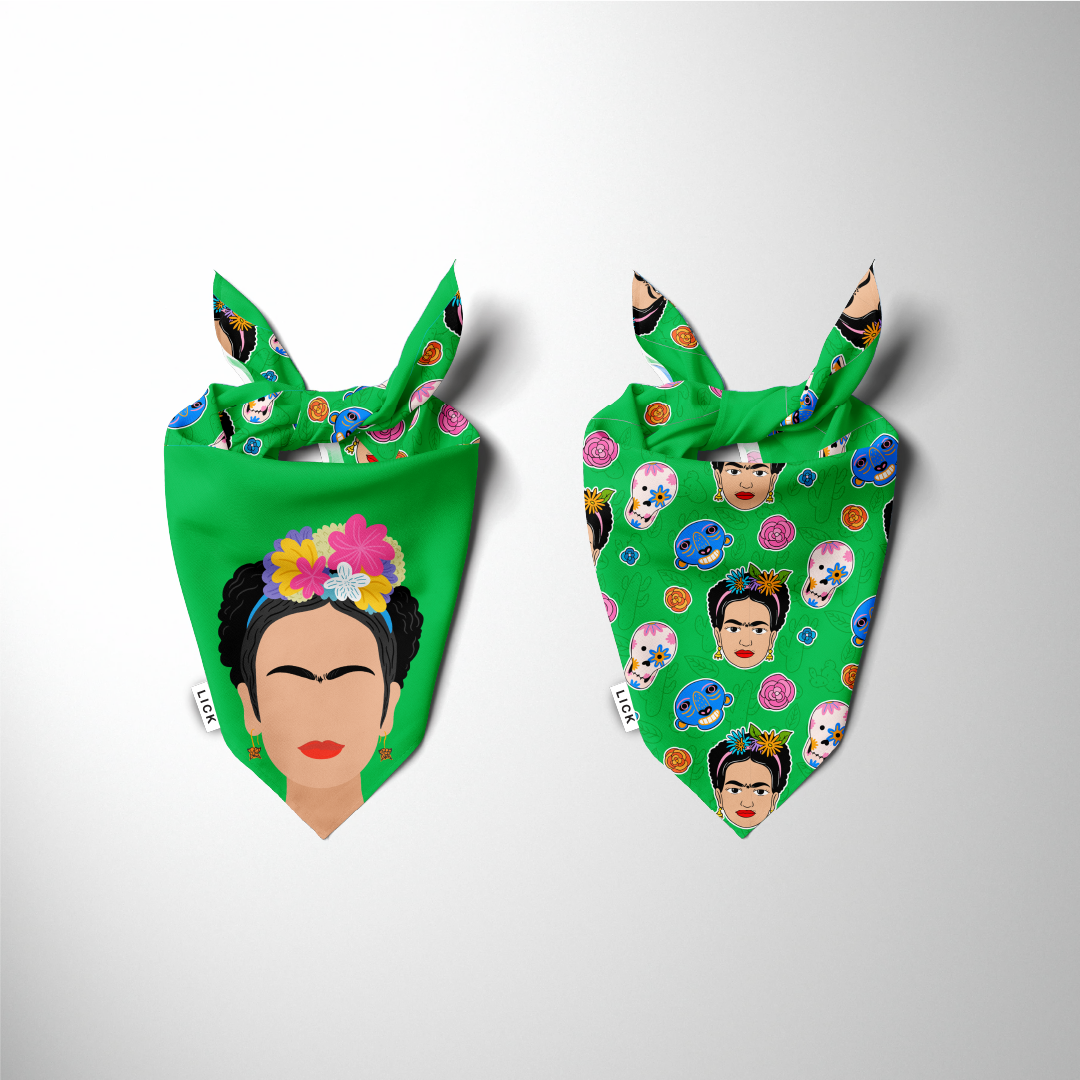 FRIDA (2-IN-1) - LICKco
