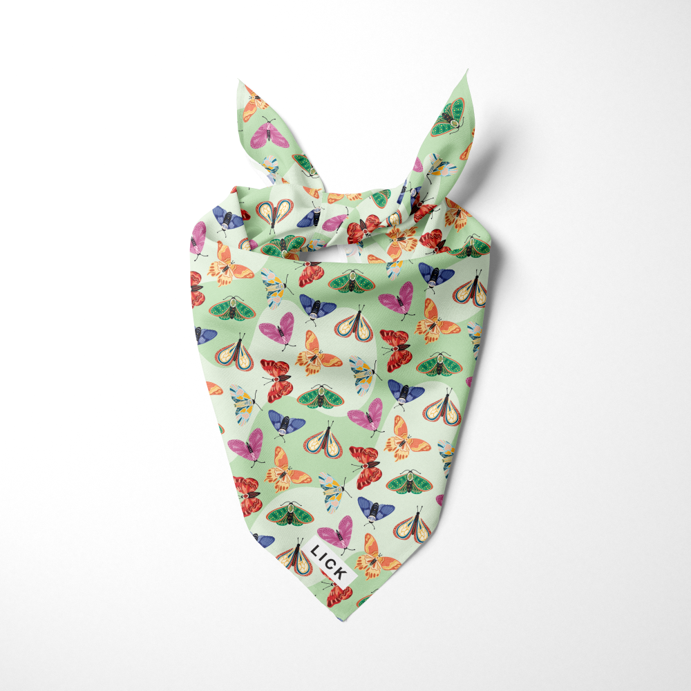 BUTTERFLIES - LICKco