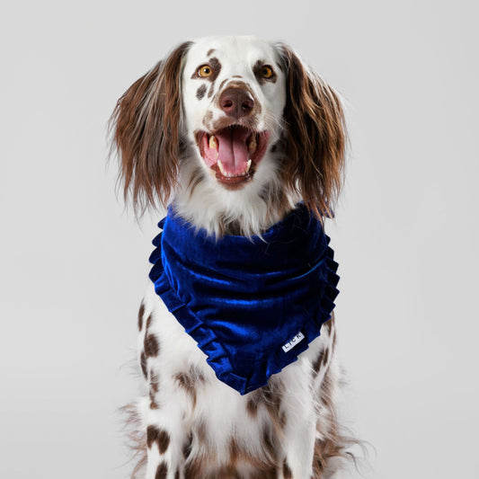 BLUE VELVET - Xmas Exclusive