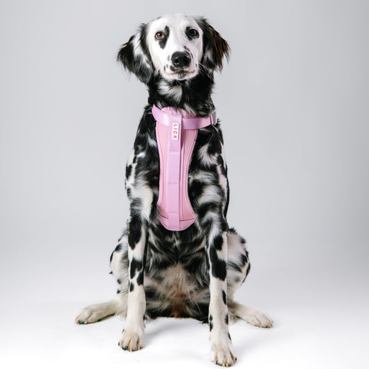 PRETTY PINK HARNESS - LICKco