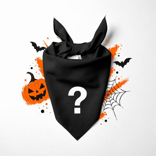 HALLOWEEN MYSTERY BANDANA
