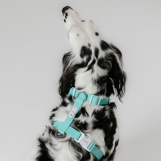 MINT LIFESTYLE HARNESS