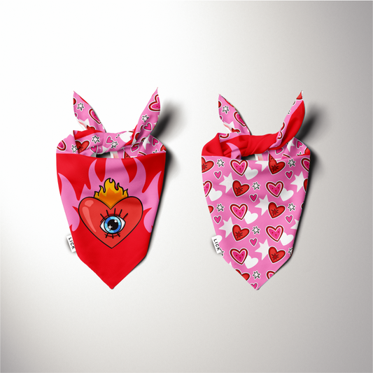 AMOR QUE TODO LO VE (2-IN-1)