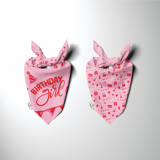 BIRTHDAY GIRL (2-IN-1) - LICKco