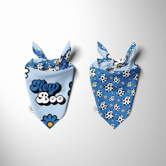 HEY BOO! (2-IN-1) - BLUE