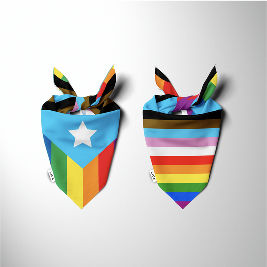 PRIDE FLAG (2-IN-1)