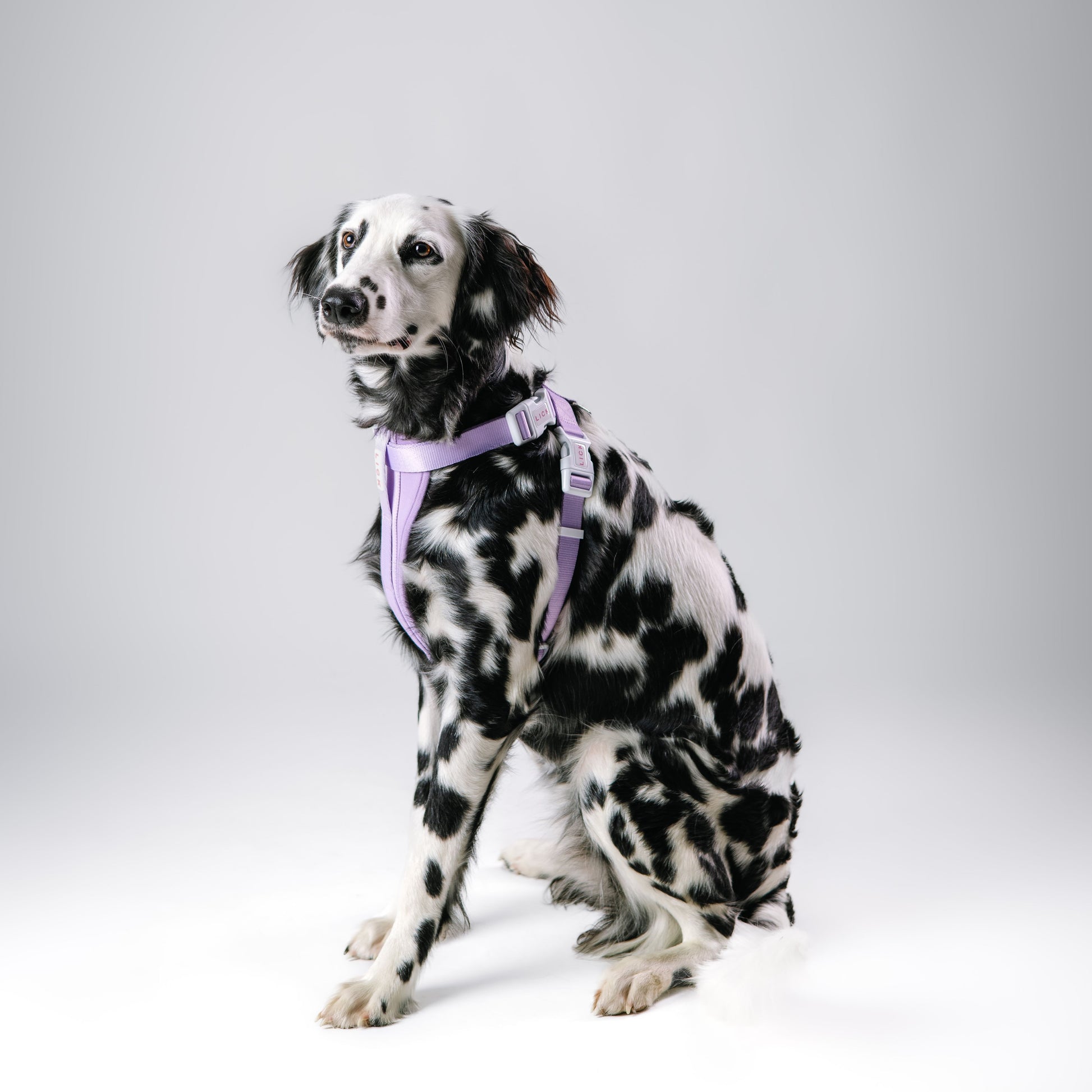 CLASSIC LILAC HARNESS - LICKco