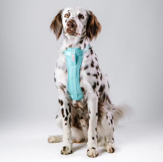 MINT HARNESS