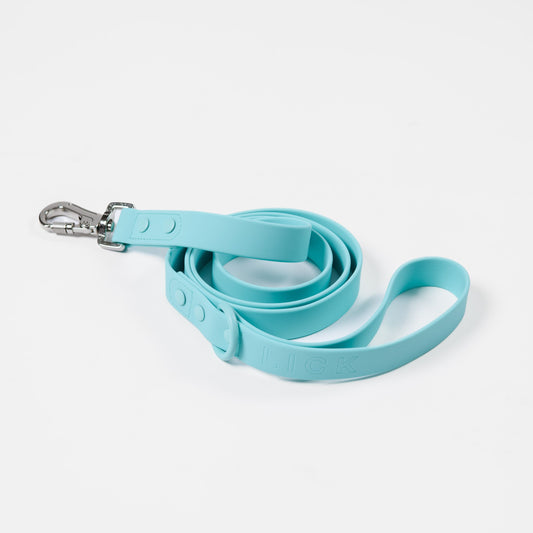 MINT LIFESTYLE LEASH