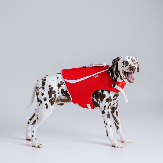 LIFESTYLE LIFE JACKET