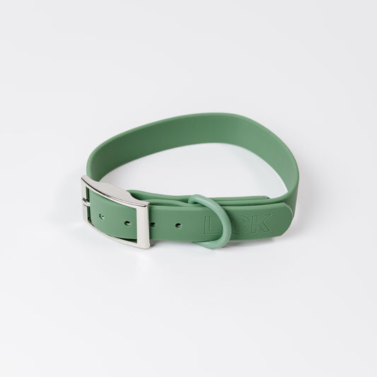 OLYMPIA - LIFESTYLE COLLAR