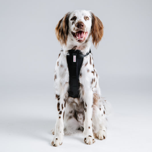 ONYX HARNESS
