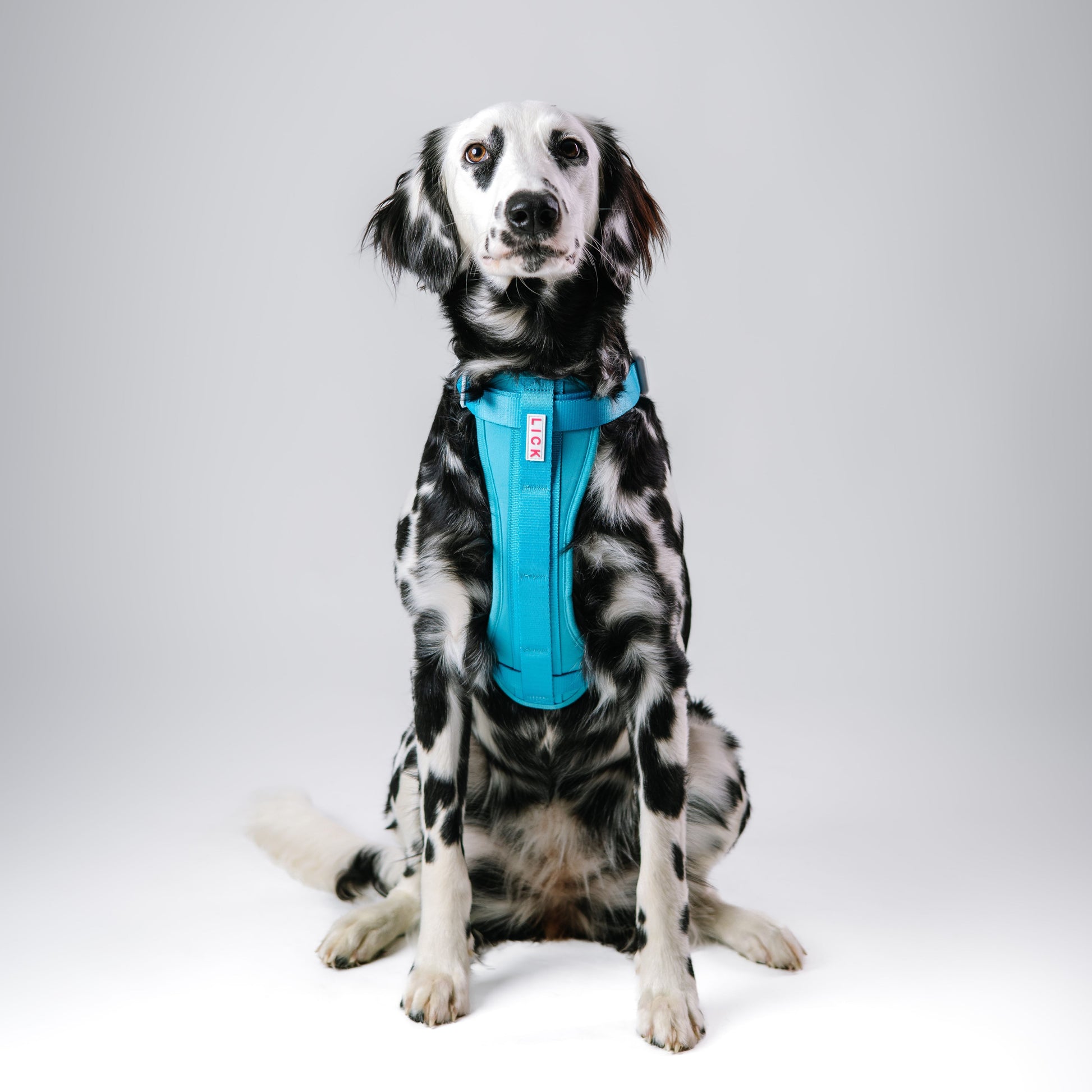 PACIFIC BLUE HARNESS - LICKco