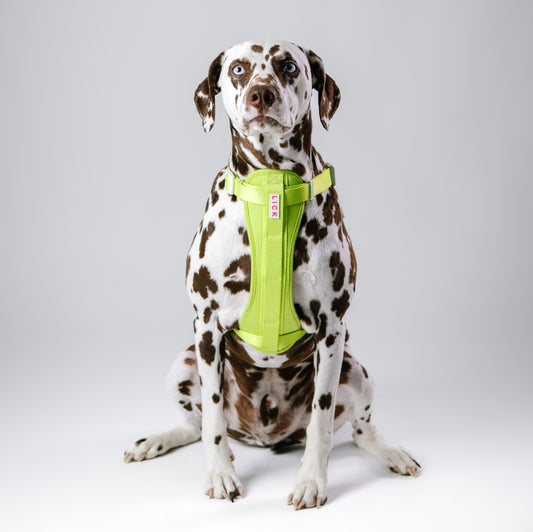 TENNIS BALL GREEN HARNESS - LICKco