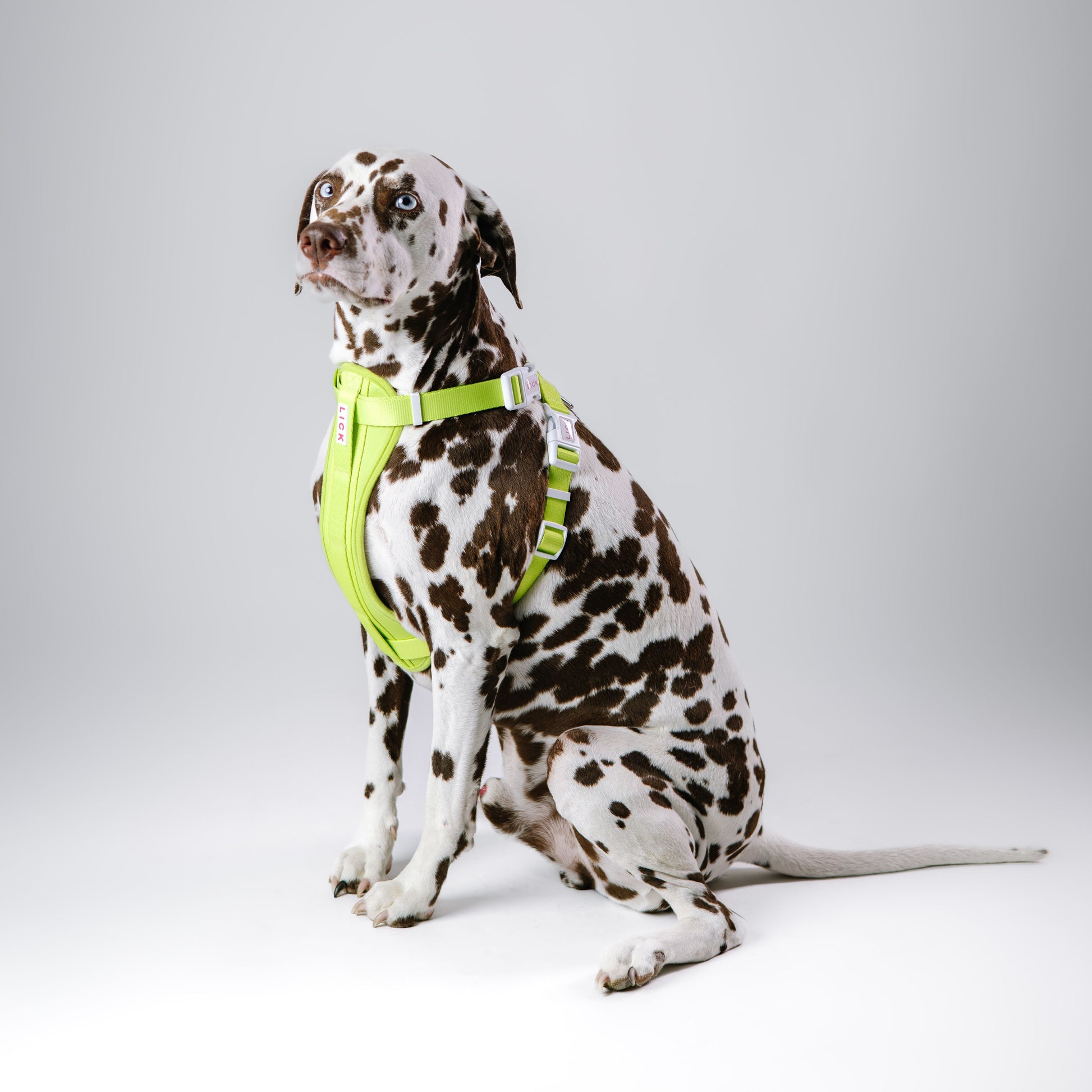 TENNIS BALL GREEN HARNESS - LICKco