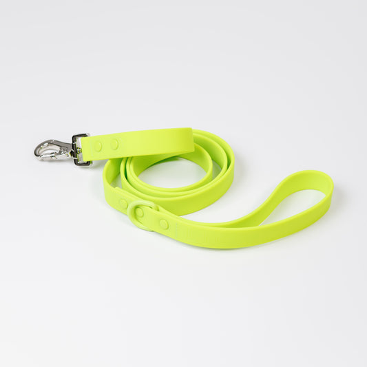 TENNIS BALL GREEN LIFESTYLE LEASH
