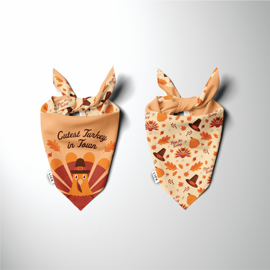 CUTEST TURKEY - THANKSGIVING (2-IN-1) - LICKco