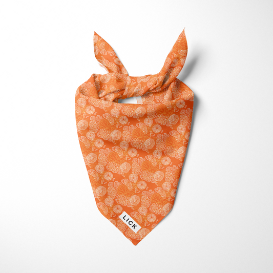CORAL