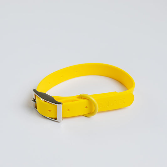 HONEY - LIFESTYLE COLLAR