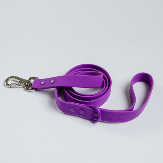 MARDI GRAS LIFESTYLE LEASH