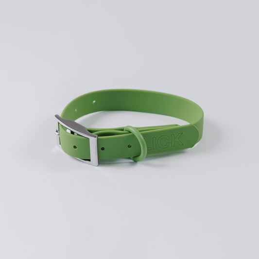 MATCHA - LIFESTYLE COLLAR