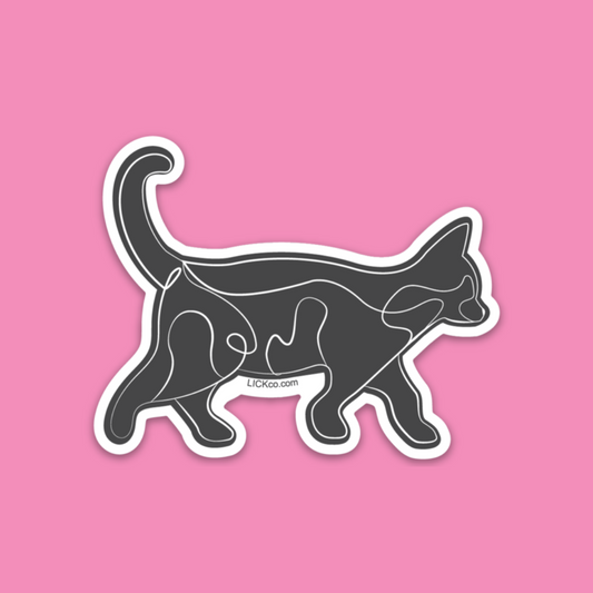 CAT WALK