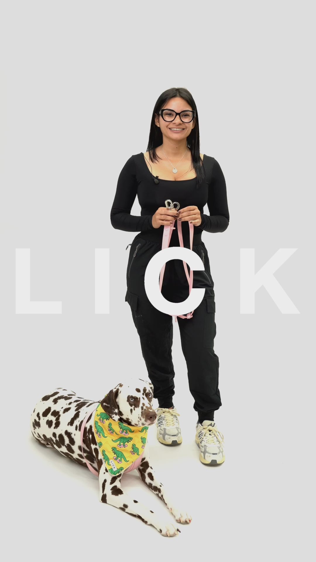 LIFESTYLE MULTI-USE LEASH PLUS