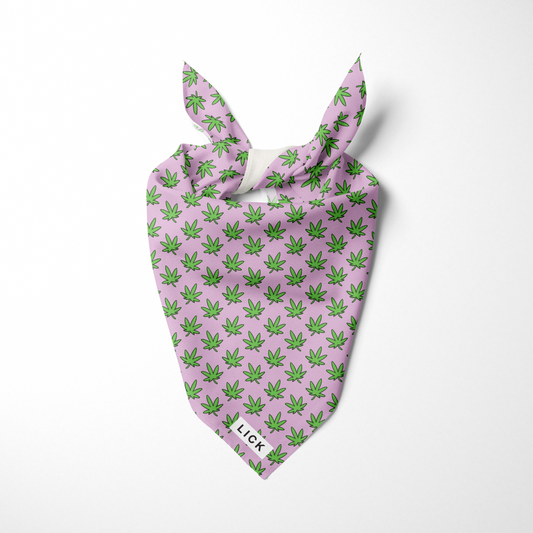 4/20 - LICKco