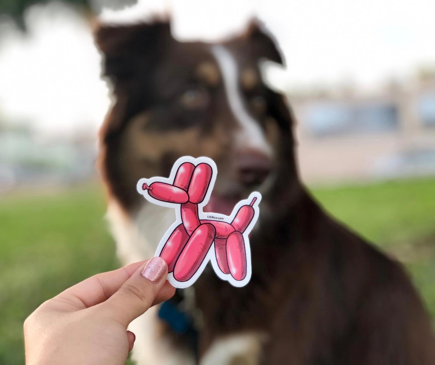 BALLOON DOG - LICKco