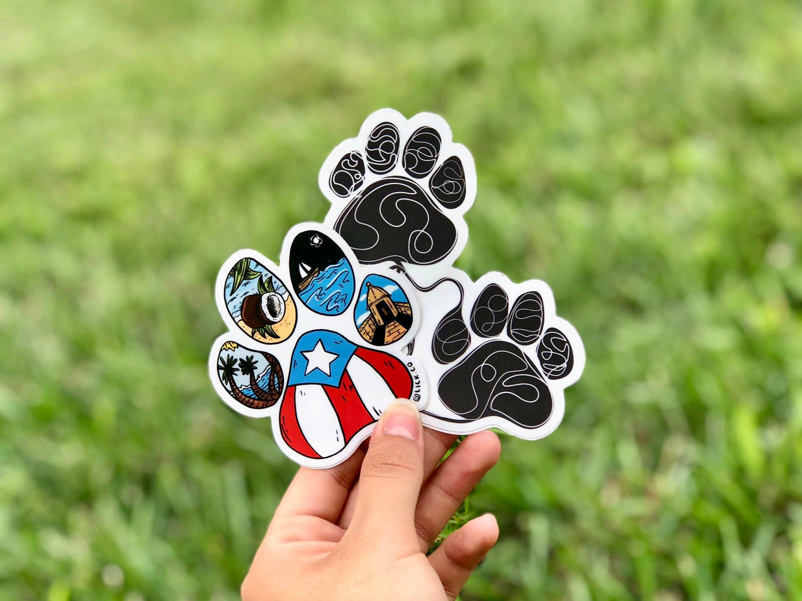 PAWS - LICKco