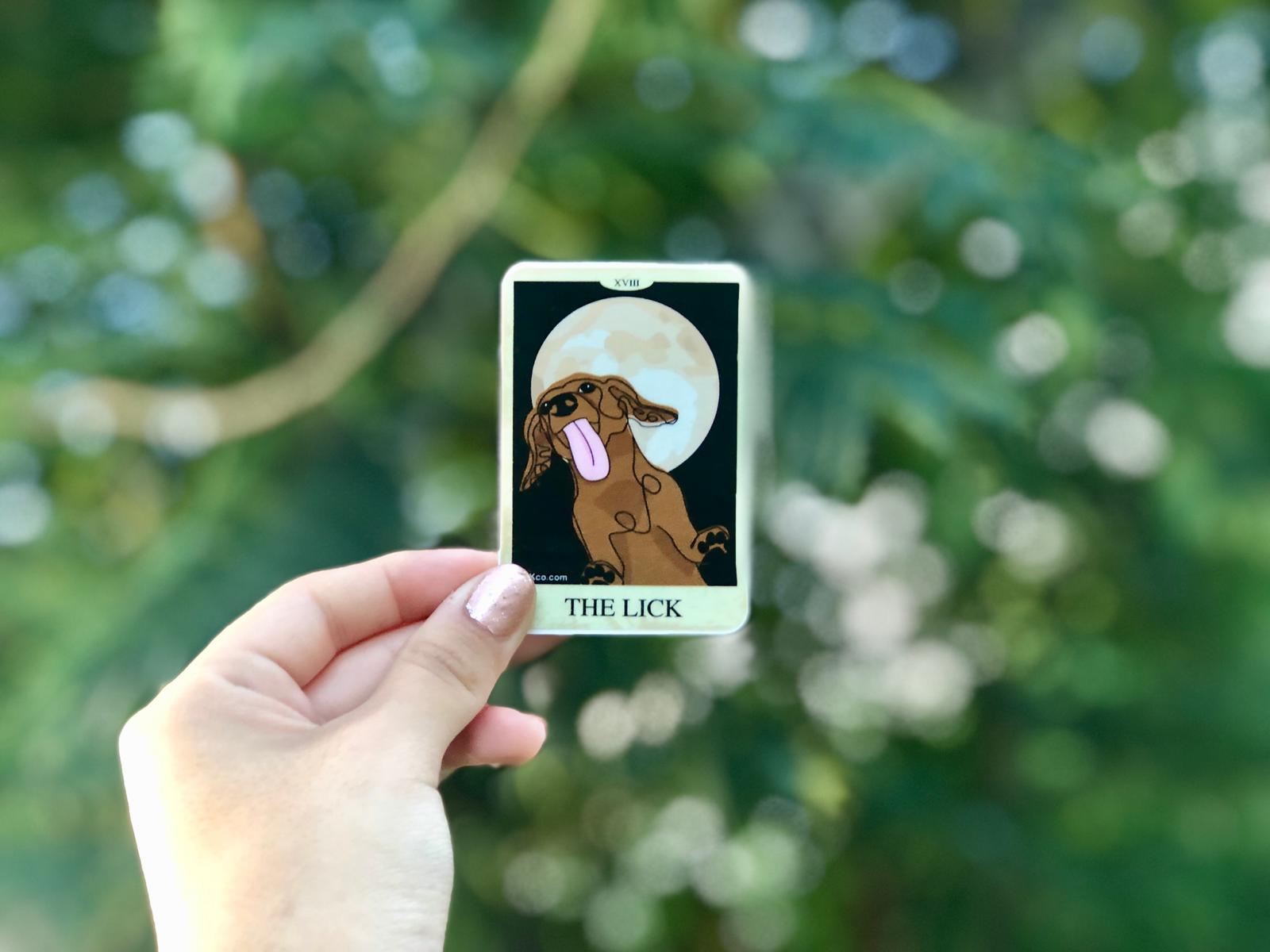 THE LICK - LICKco