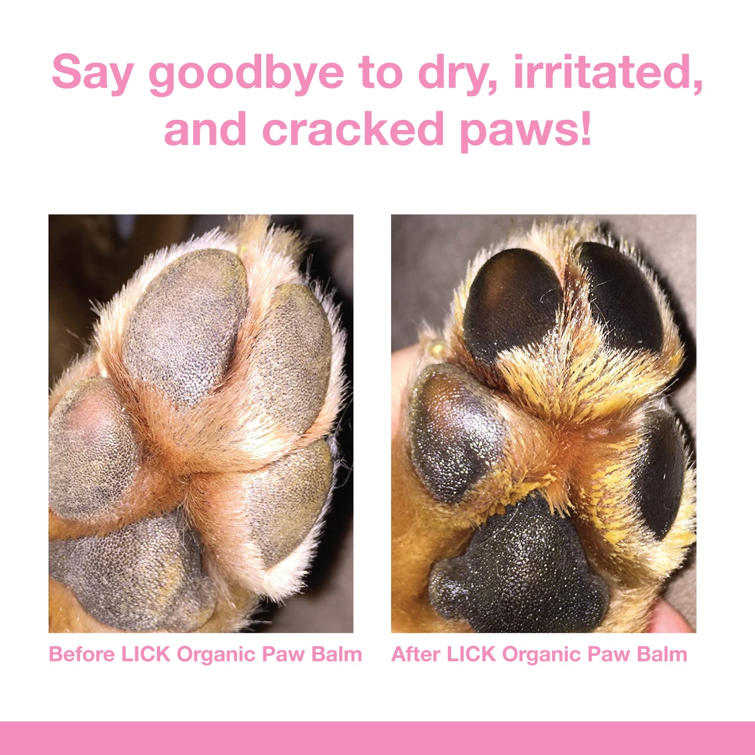 BUNDLE (ORGANIC PAW BALMS) - LICKco