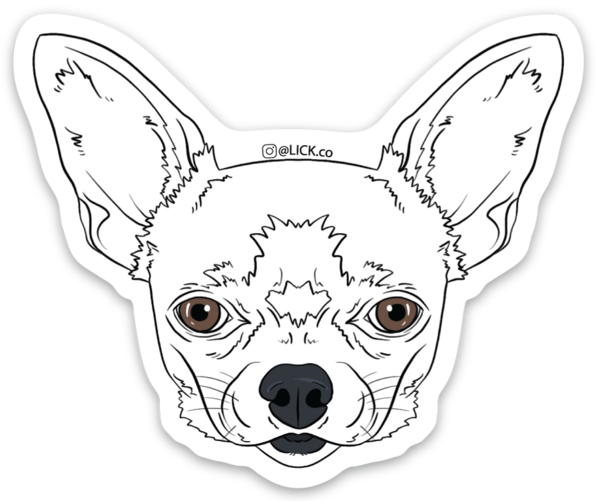 CHIHUAHUA - LICKco