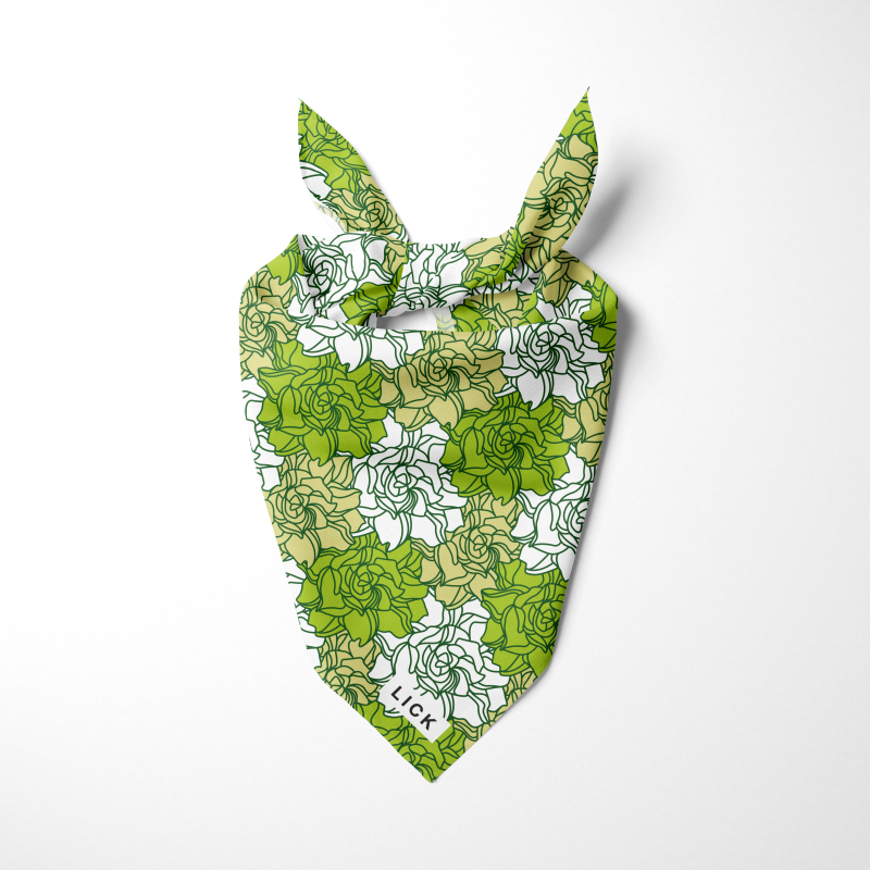 CAMINO DE ROSAS (GREEN) - LICKco