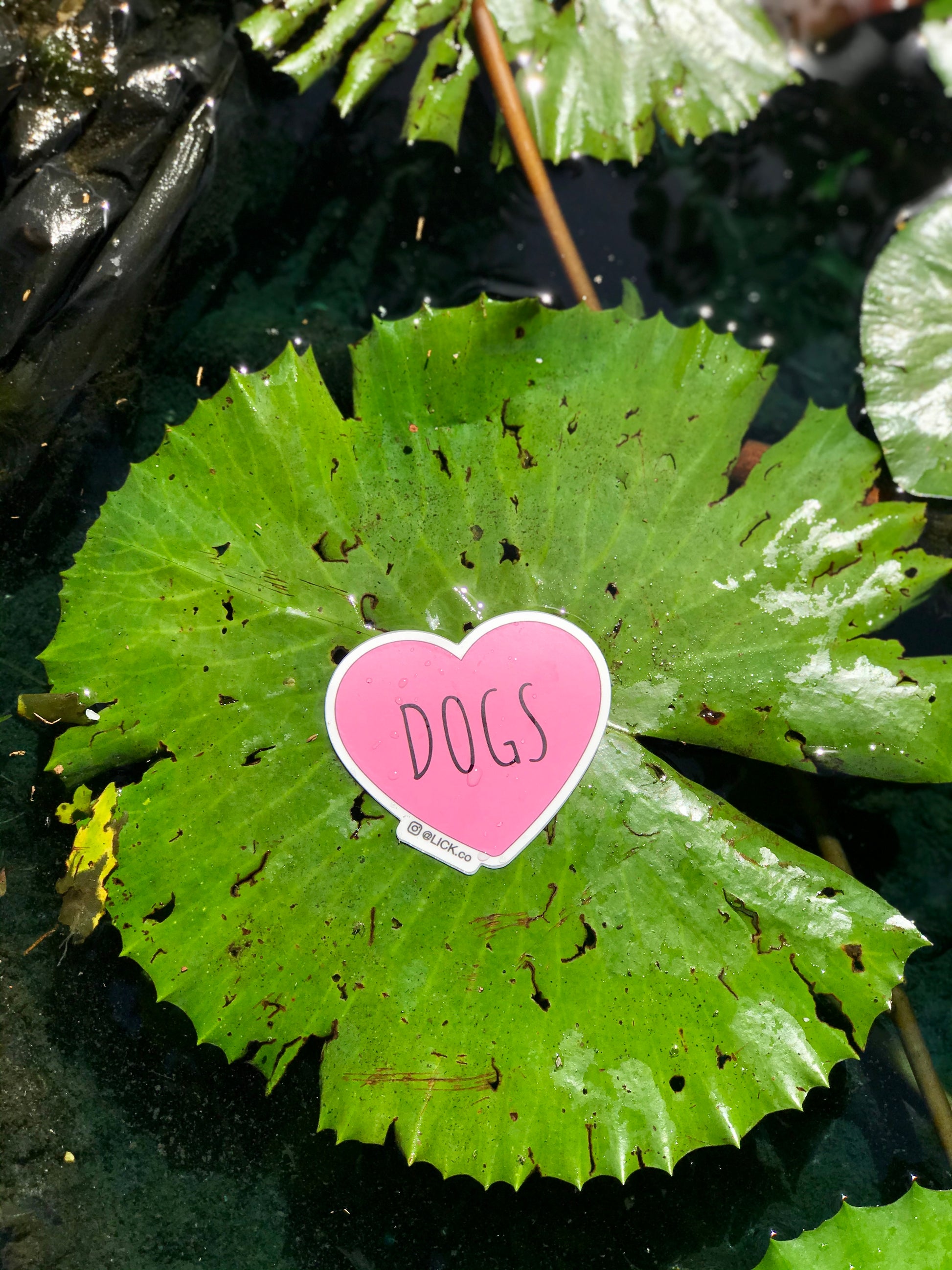 I LOVE DOGS - LICKco