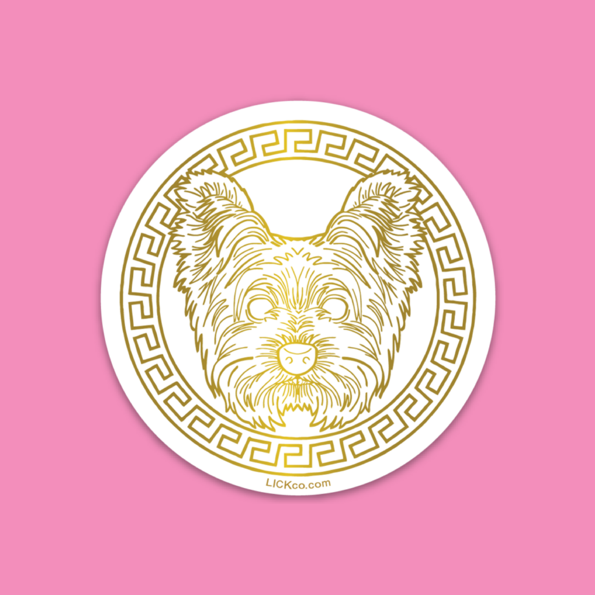 GOLDEN ERA - YORKIE TERRIER - LICKco