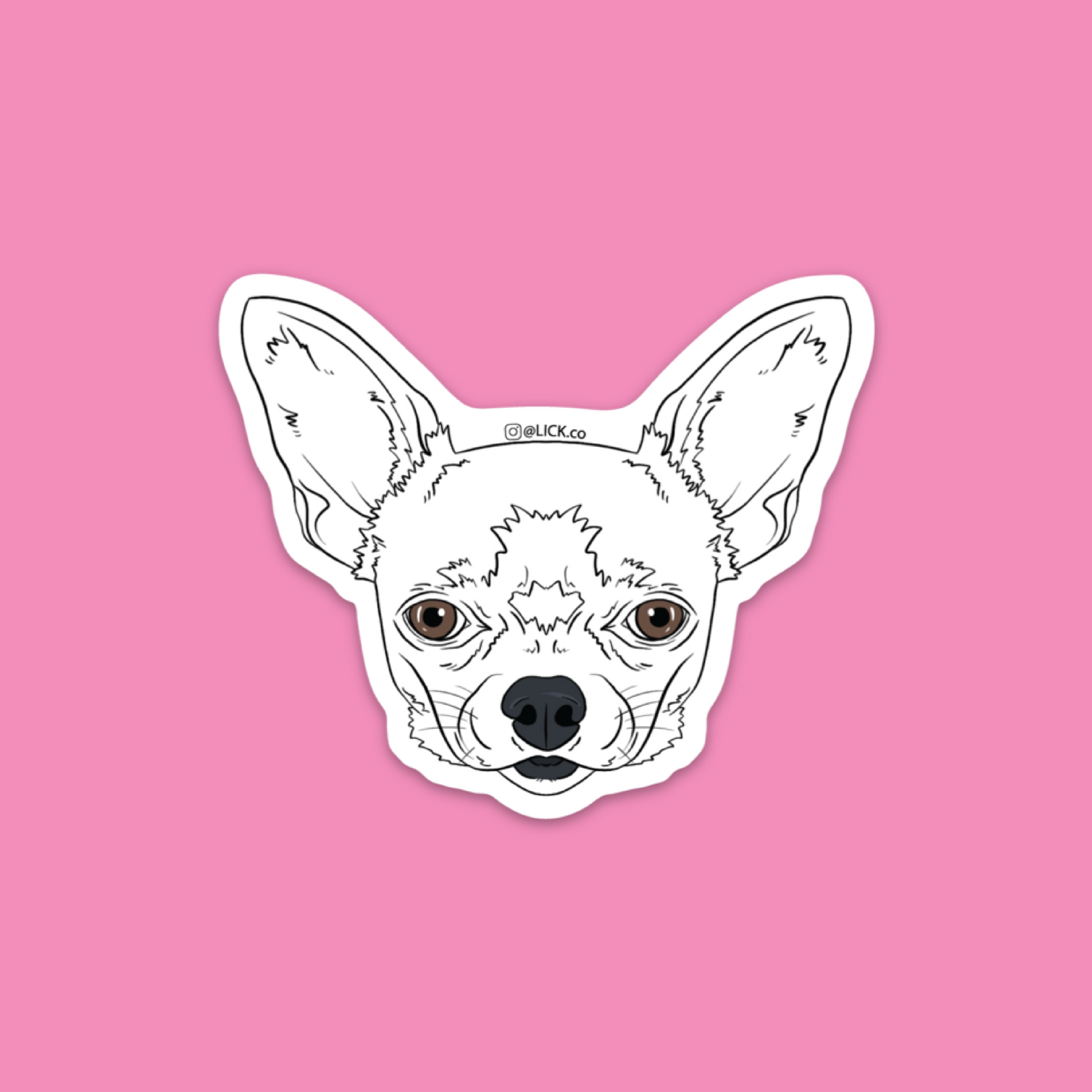 CHIHUAHUA - LICKco