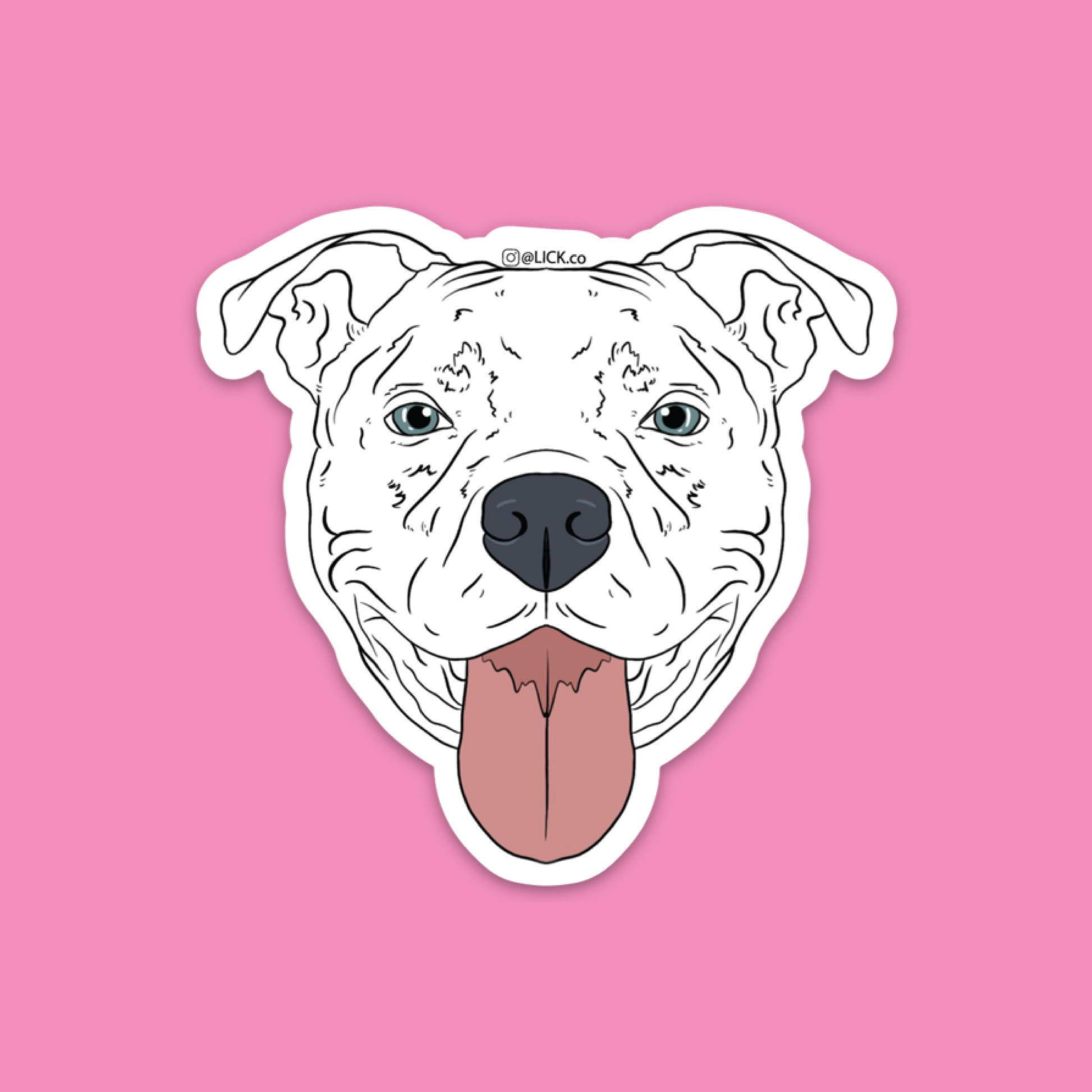 PIT BULL - LICKco